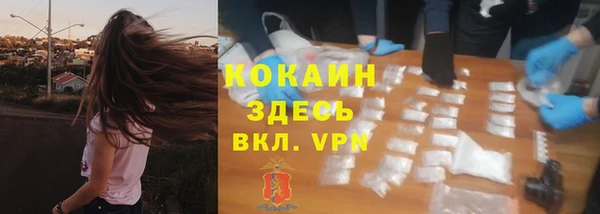 спайс Няндома