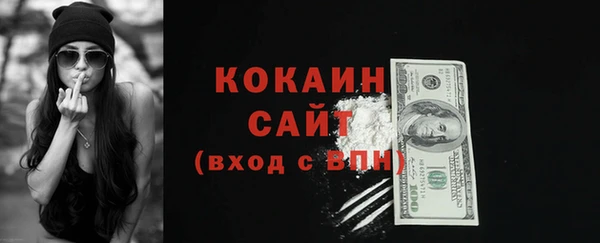 спайс Няндома