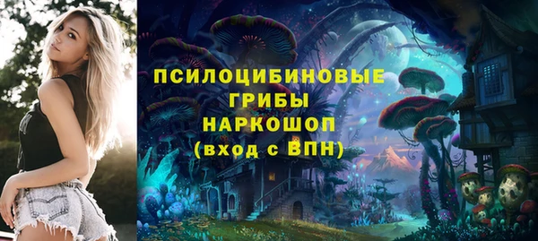 спайс Няндома