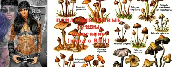 амф Нязепетровск