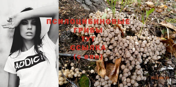 спайс Няндома