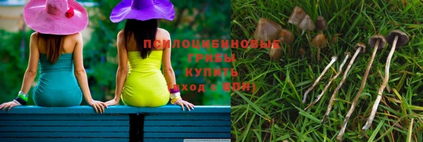 амф Нязепетровск