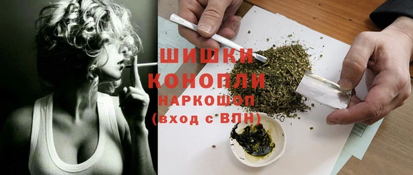 спайс Няндома